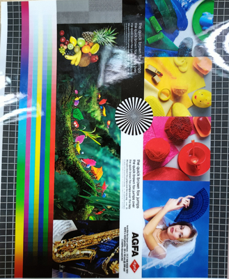 Good price 1920mm Larghezza 30mic Glossy Multiply Extrusion PET Hot Laminating Film per strato di protezione fotografica in linea